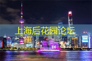 上海新茶工作室微信：在上海享受一个充实的夜晚